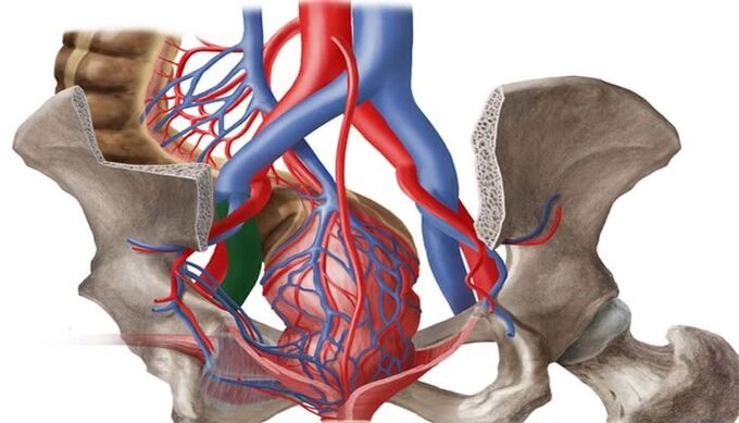Dilatazione delle vene degli organi interni